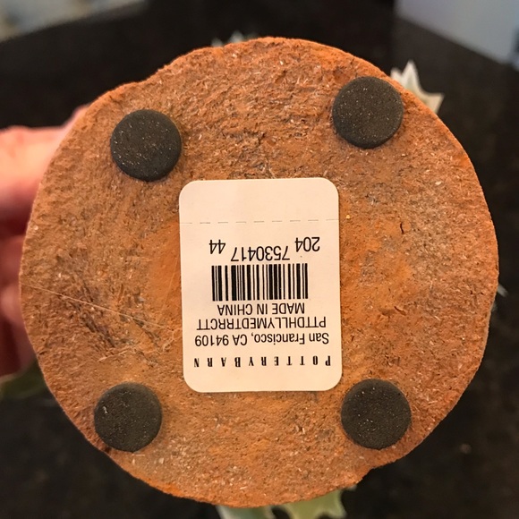 New Pottery Barn Faux Potted Holly, Holiday Plant - Picture 4 of 13